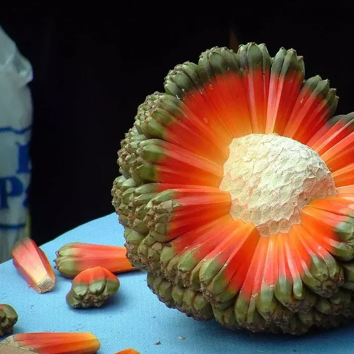 Le hala, ce fruit exotique qui ressemble à une planète en pleine explosion