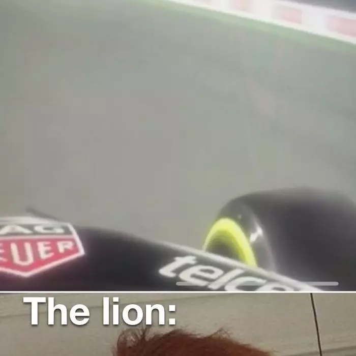 Alonso : Défends comme un lion !