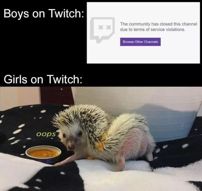 Twitch aujourd'hui