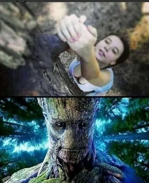 Groot